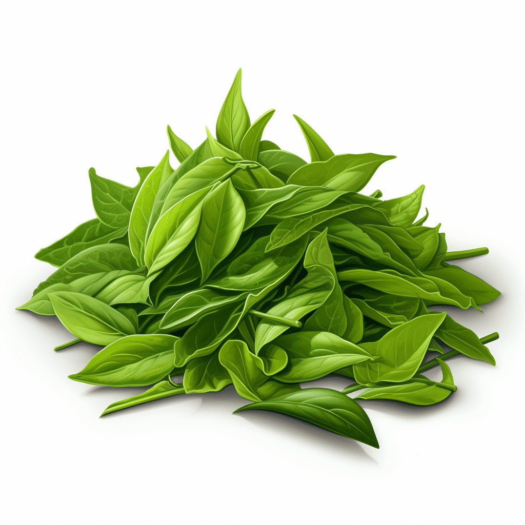 Where to Buy Green Tea Leaves: A Comprehensive Guide