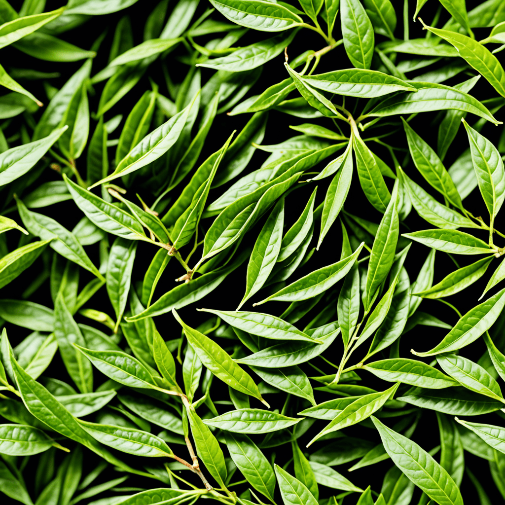 “The Ultimate Guide to Discovering the Best Green Tea Strain for Your Next Brew”