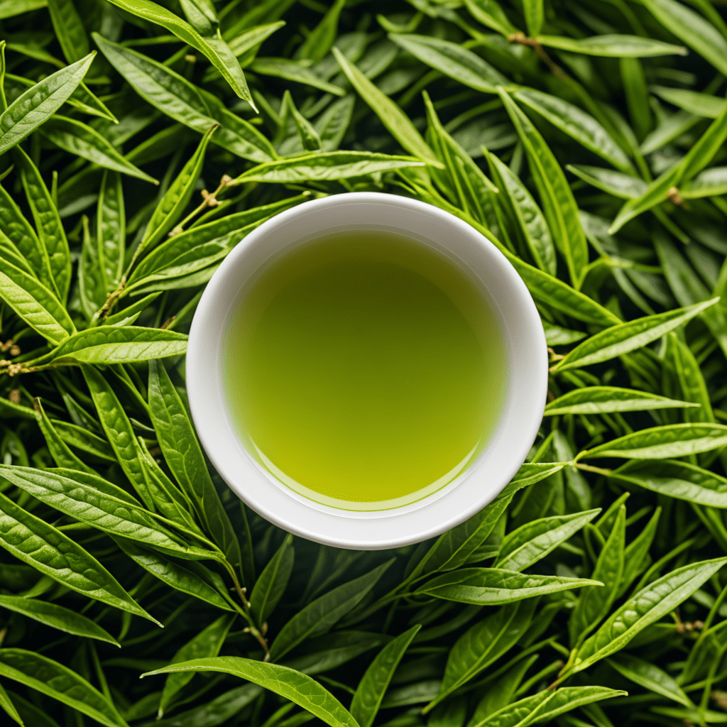 Uncovering the Finest Green Tea Brands for Tea Enthusiasts