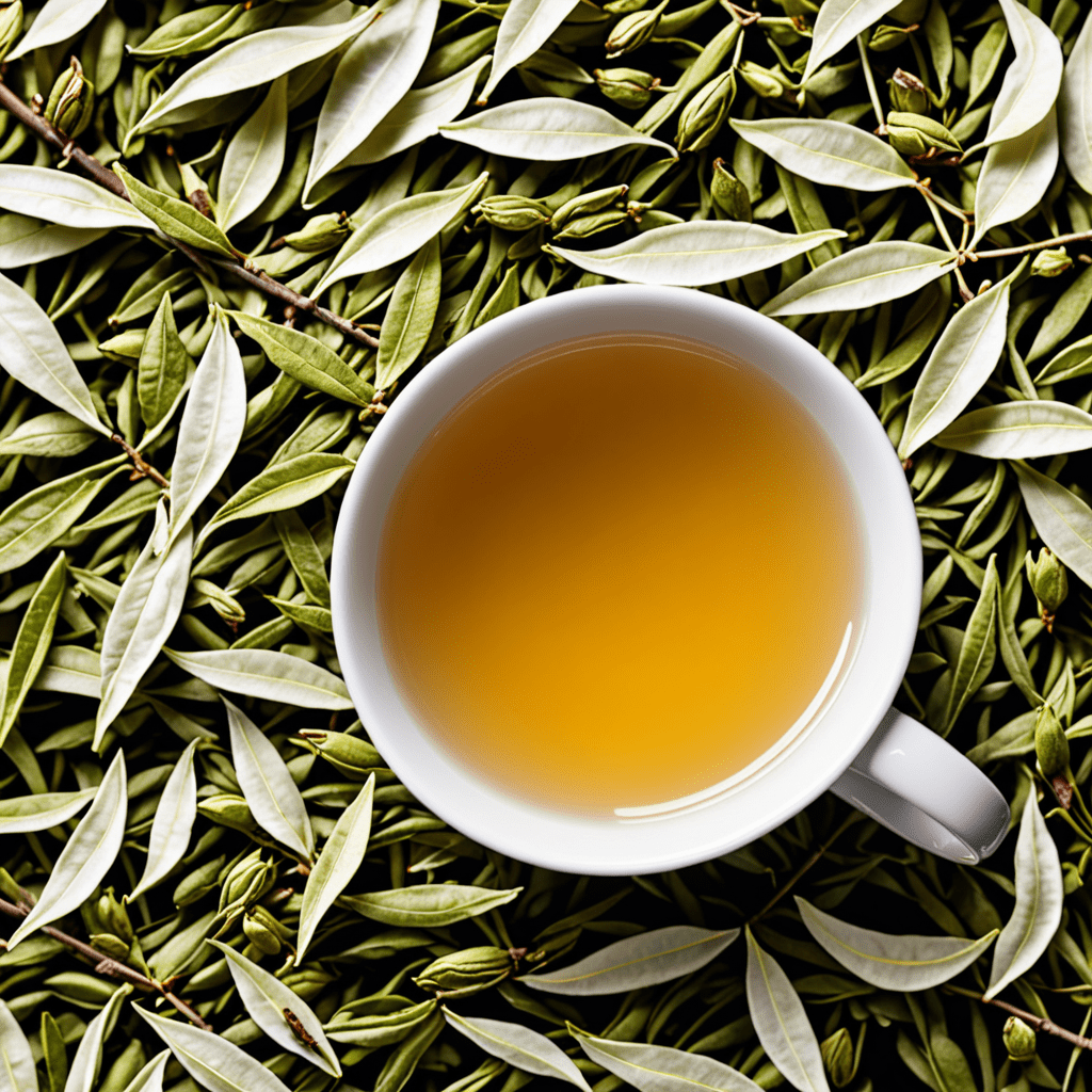 White Tea: A Gateway to Tea Appreciation