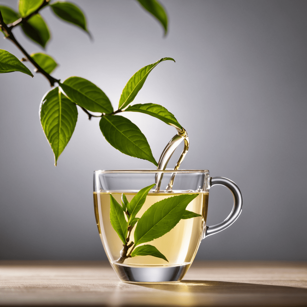 White Tea: The Elixir of Serenity