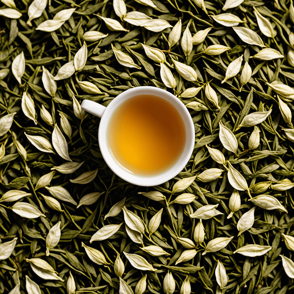 White Tea: A Symphony of Tea Harmony