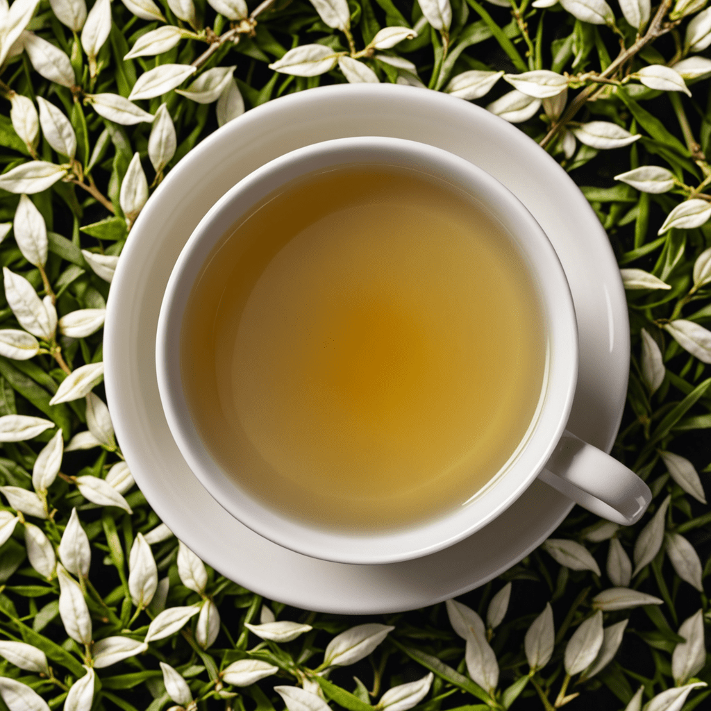 White Tea: The Essence of Tea Serenity