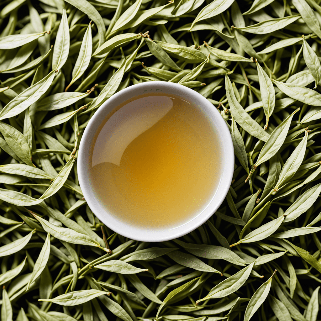 White Tea: A Symphony of Tea Harmony